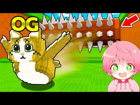 危険から逃げながら『ミャオルOG』を入手するブレインロットを盗むロブロックス..🐱🌳【ROBLOX】
