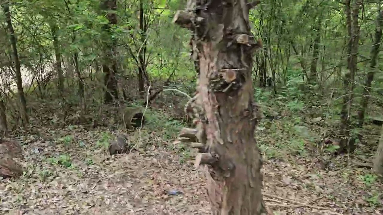 The old landfill cleanup begins.  We will have a park when it's finished.  