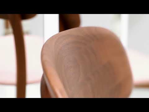 Видеообзор