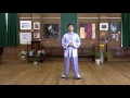 Tai Chi 24 Form Step By Step Instructions Paragraph 3