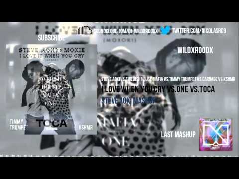 Steve Aoki vs.SHM vs.Carnage - I Love it When You Cry vs One vs Toca (Steve Aoki Mashup)