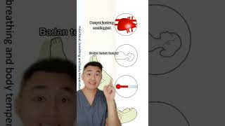 Download lagu Tanda orgasme pada perempuan #edukasiseks #kesehatanwanita #tipspromil #tipspasutri mp3 Download lagu Tanda orgasme pada perempuan #edukasiseks #kesehatanwanita #tipspromil #tipspasutri mp3