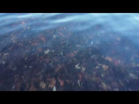 Carver Beach Lake - Water Waves 2