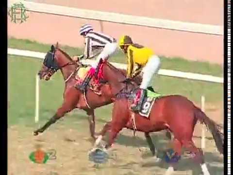 The Nawab Mir Mushtaq Ali Khan Memorial Cup WINNER DURANGO