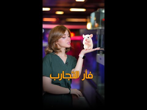 شاهد بالفيديو.. عود ليش | استخدام الفئران بالتجارب العلمية