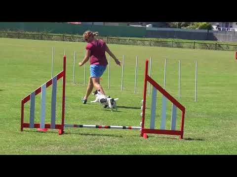 Good Dogs Agility Trial  - Friends - 17th March 2018