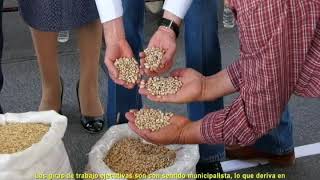 LAS GIRAS DE TRABAJO DEL GOBERNADOR DEL ESTADO JOSÉ ROSAS AISPURO TORRES SON CON SENTIDO MUNICIPALIS