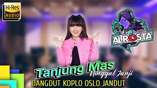 Download lagu ALROSTA Tanjung Mas Ninggal Janji Dangdut Koplo Ja... mp3
