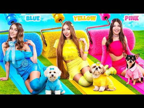 ¡Habitación Secreta de Un Solo Color para Perros! Encontramos Cachorros Perdidos