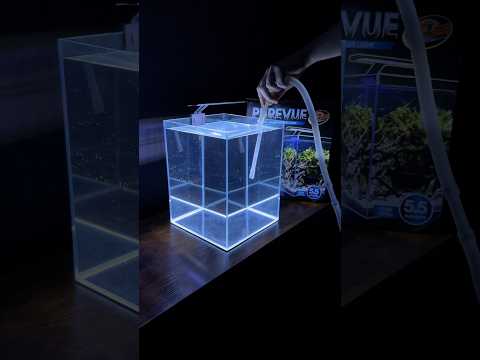 Dichtheitsprüfung meines neuen Aquariums (Purevue 5,5 Gallon Cube)