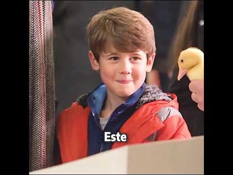 El niño crió a un patito como mascota. #peliculas #movie #shorts