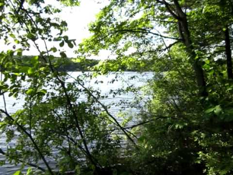 Lagoon Rd on Beaver Lake