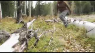 &quot;Hallmark&quot; - Broken Social Scene - Bee Hives, 2008