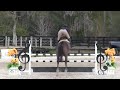 Video Of EGANO VAN KADAL Ridden By GILLIAN GRANT From ShowNet