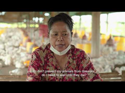 Prudent use of antimicrobials in animals (short version)