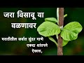 मराठीतील सर्वात सुंदर गाणे भले बुरे ज�