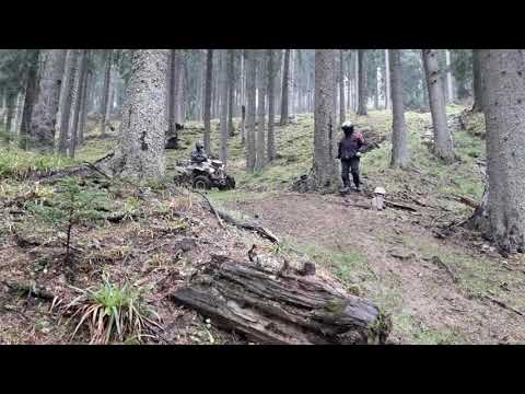 Rumunsko Perla Padurii 1