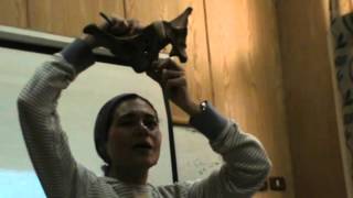 Obstetrics - Dr.Nadine Alaa Sherif - Anatomy of Female Pelvis & Fetal Skull