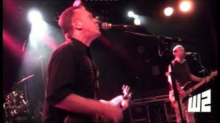 BUFFALO TOM - Tree House