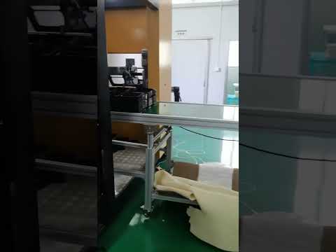 Plastic Disposable Tray