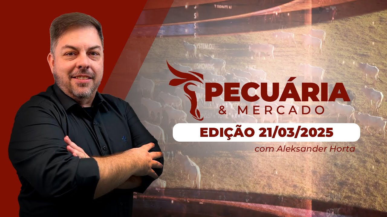 Aumento nas exportações de carne para China; uso de drones e IA na pecuária e confinamento ...