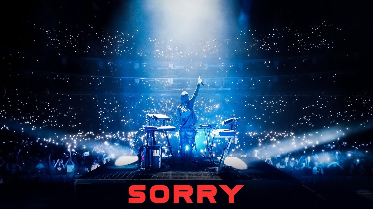 Lirik Lagu Sorry - Alan Walker dan Terjemahan