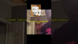 Download lagu AIR ES TAK SEBURUK YANG KITA KIRA #fakta #faktaunik #beritaterkini mp3