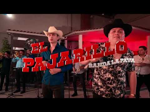 El Pajarillo - Banda La Pava (En Vivo 2025)