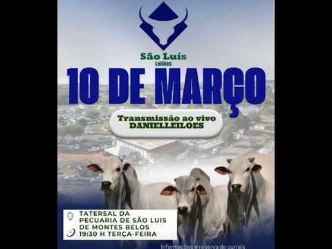 São Luiz de Montes Belos - GO   10/03/2026