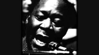 Memphis Slim and The House Rockers  Really Got the Blues