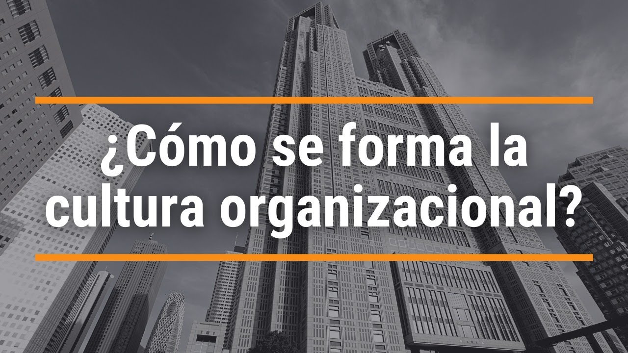 ¿Cómo se forma la cultura organizacional?