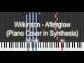 Wilkinson - Afterglow (Piano Cover in Synthesia)