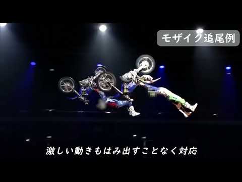 モザイク加工代行いたします イメージ1