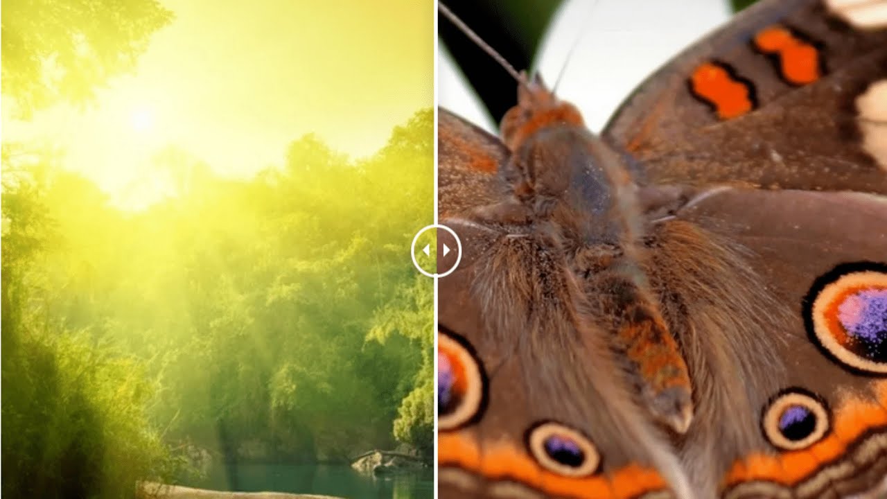JQuery Image Comparison Plugin | HTML | CSS