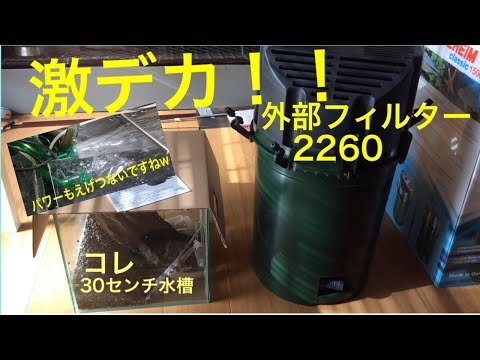 Watch Video on YouTube