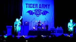 TIGER ARMY NOCTURNAL
