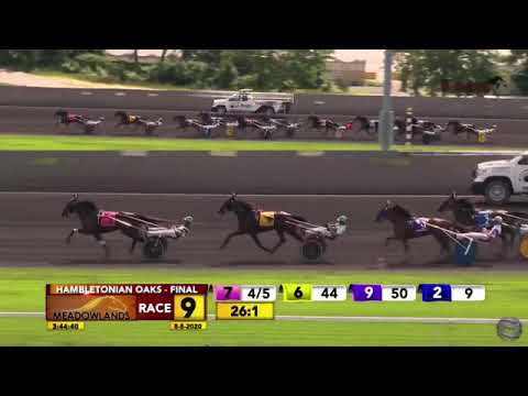 2020 Hambletonian Oaks - Sorella