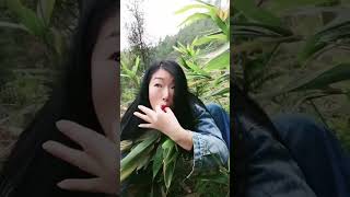 Download lagu kicau burung viral kicau mania bird master funny #birdsong #funny #animals mp3