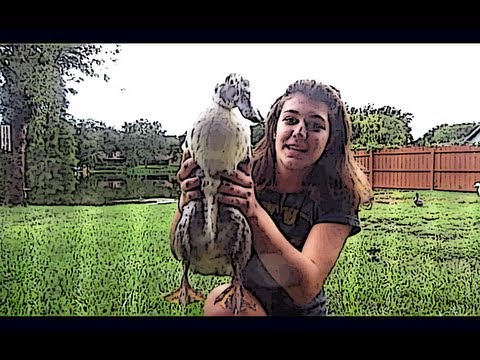 CHELSEA GOES QUACK! (Day 178) - 9/25/11