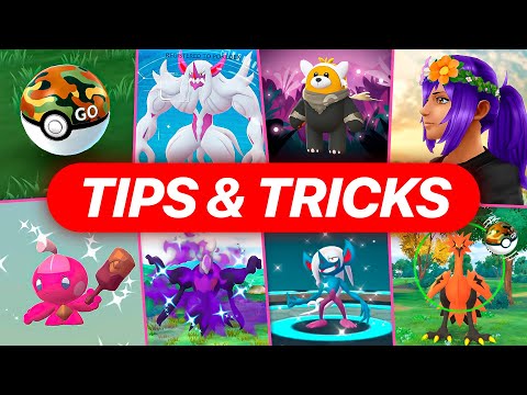 What PRO’s Don’t Tell you to do During Wild Area 2025!