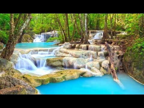 UU204 Bouma National Heritage Park Creative Product. By S11212040, Alpesh Gounder