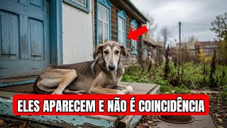 Por que animais começam a aparecer na sua casa quando algo espiritual está errado.