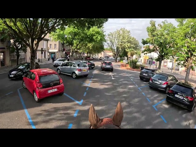 PRE De la force, de l'&eacute;quilibre, une beaut&eacute; magn&eacute;tique