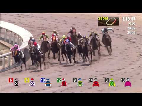 29/5/2022 (702) Handsome Twelve - Z Purton