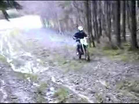 vancompernolle dans les bois