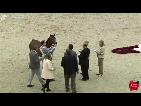 38 THENIYAH AL ZOBAIR Sharjah International 2018