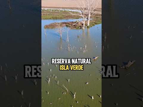Descubrí la Reserva Natural Isla Verde 🌿🚁
