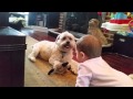 Learning To Trade