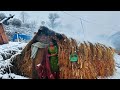 Best Life in The Nepali Himalayan Village During The Winter || Documentary Video Winter Season