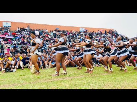 Mgijimi | Abanini bengoma | bezithelwe ngezibonkolo Ongoye | Buka Umfutho | Ushameni